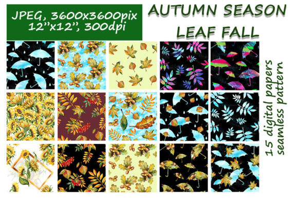 Autumn Leaf Fall Digital Paper Collection